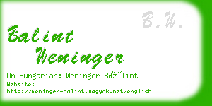 balint weninger business card